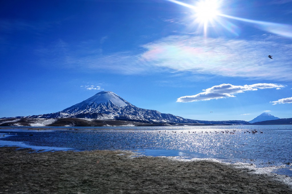 Lauca Nationalpark