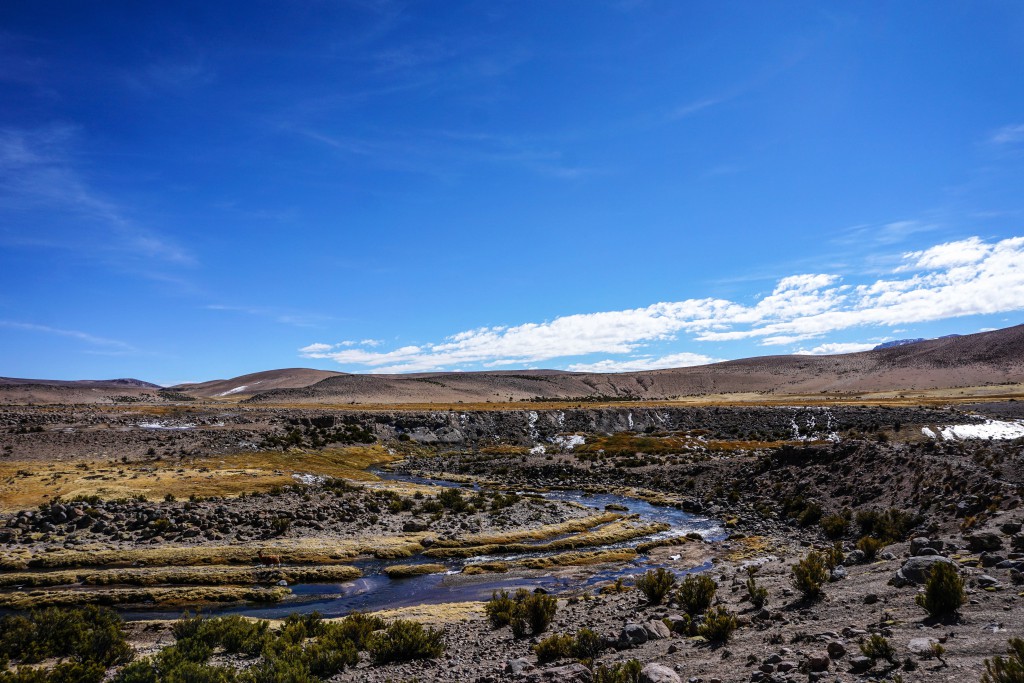 Bioreservat Las Vicuñas