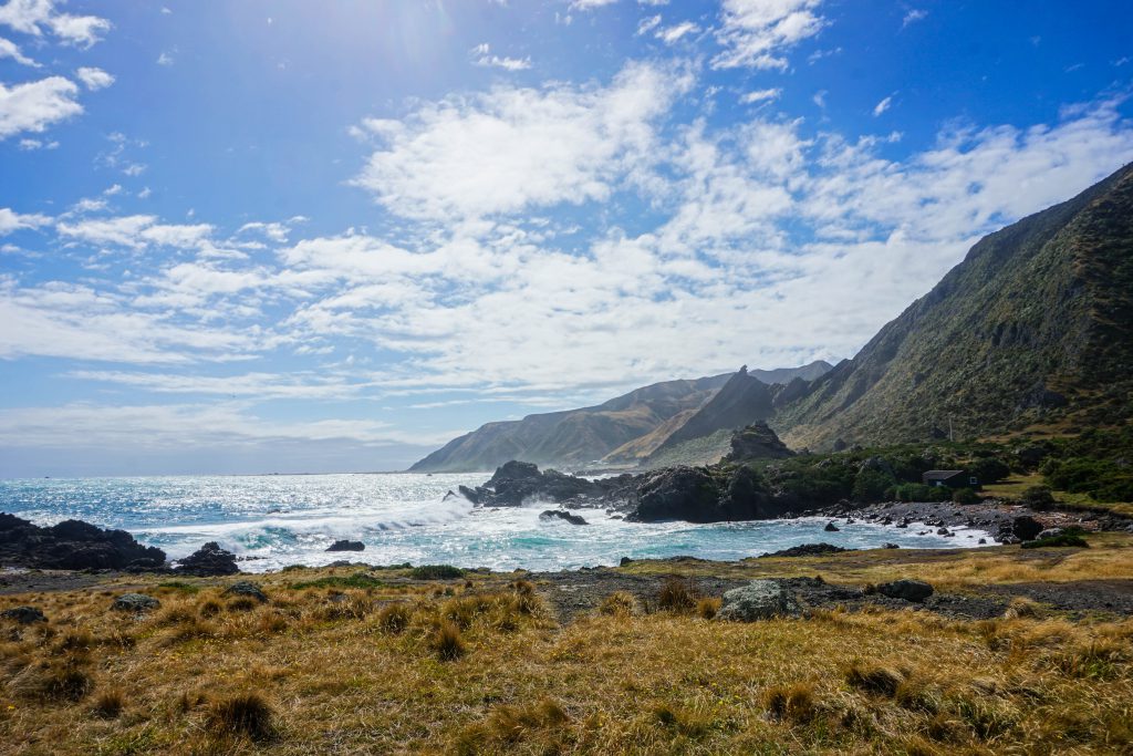 Cape Palliser