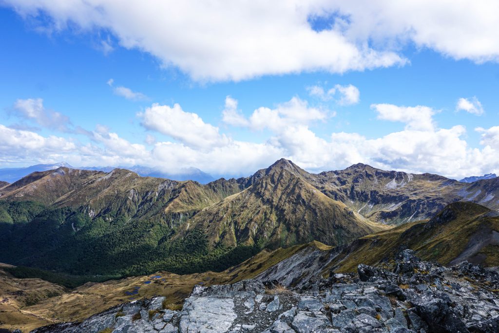 Kepler Track