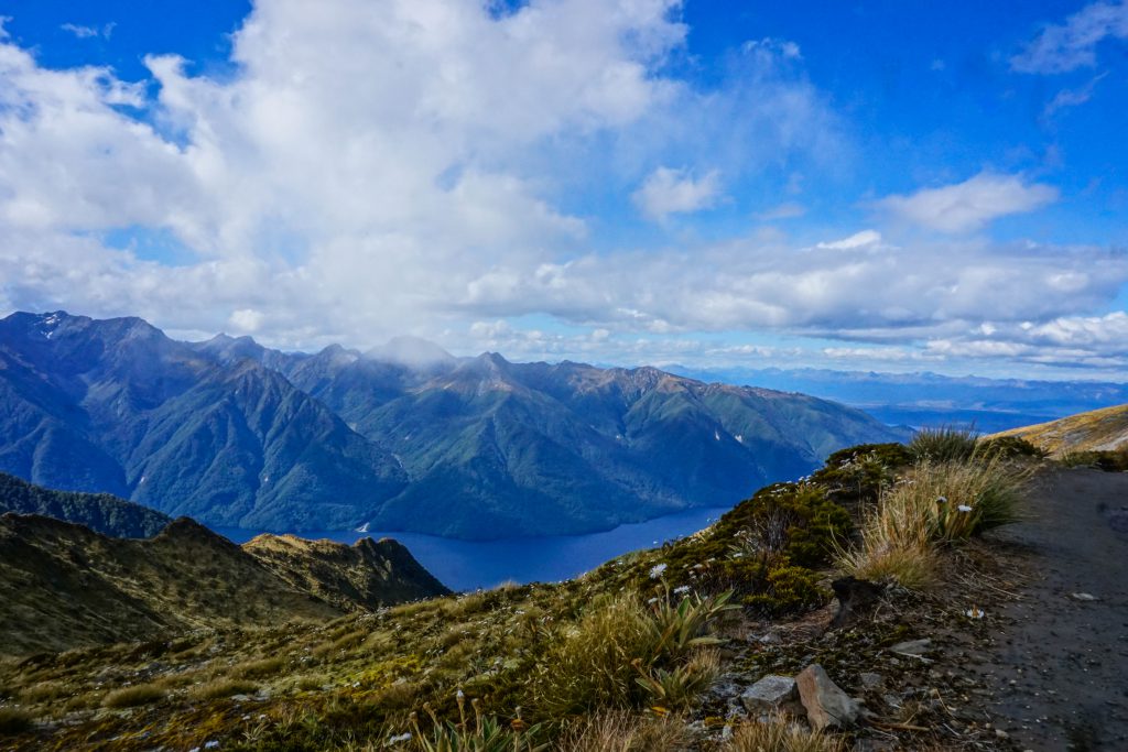 Kepler Track